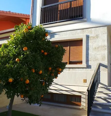 Orange Tree's House *